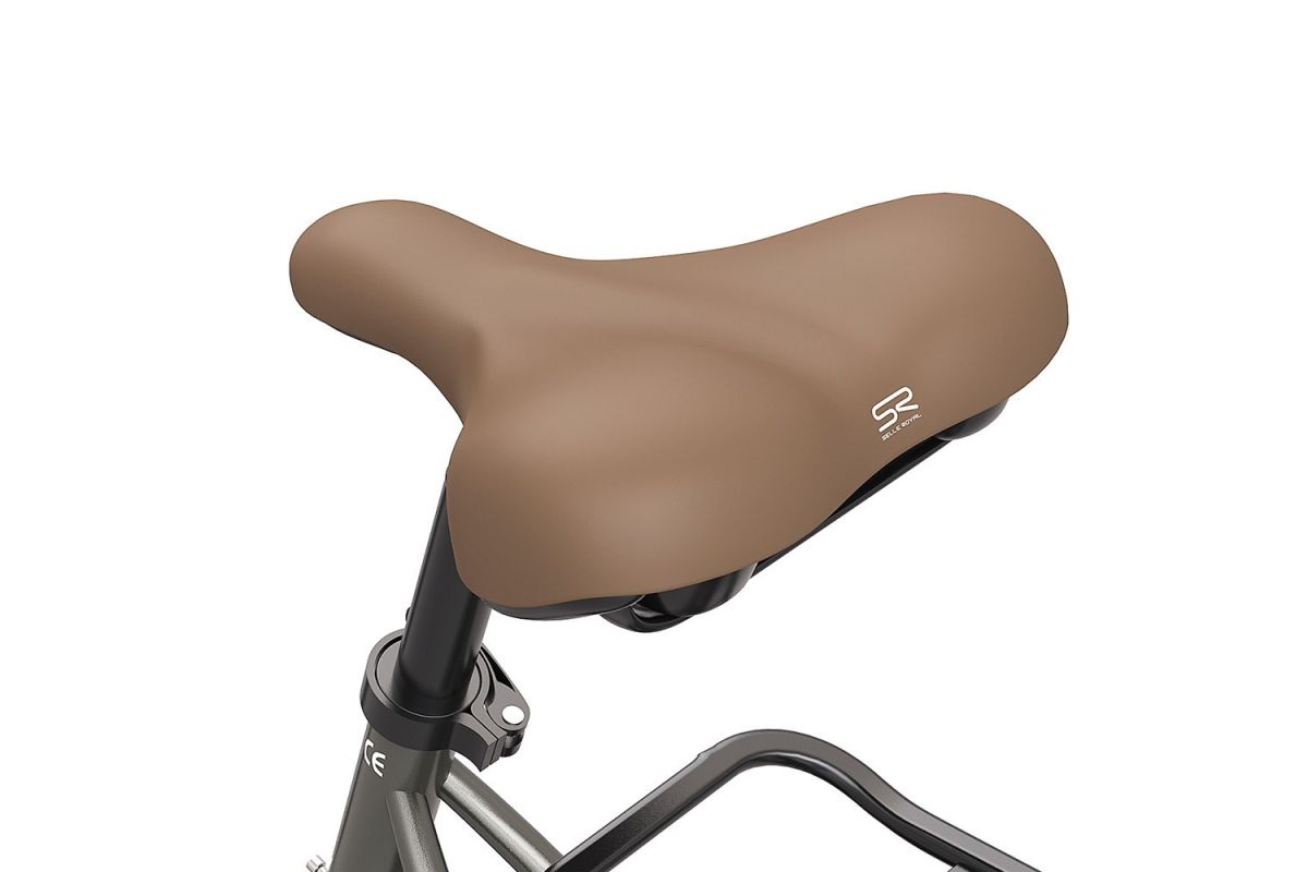 Vélo électrique de ville pas à pas FAFREES F26 Pro 26'' Gris