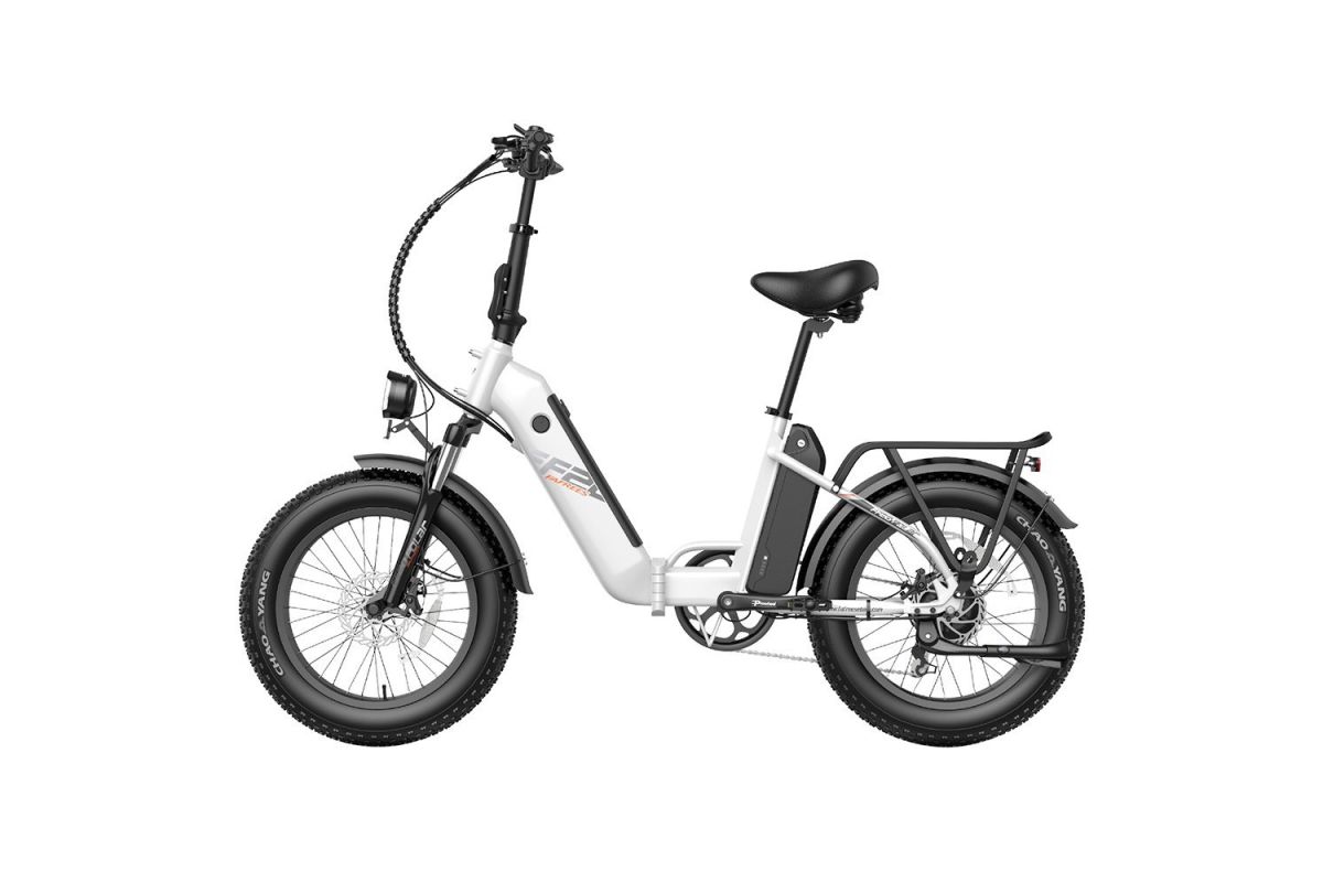 FAFREES FF20 Polar E-Bike 40Km/h 500W 48V 20,8Ah Double Batterie Blanc