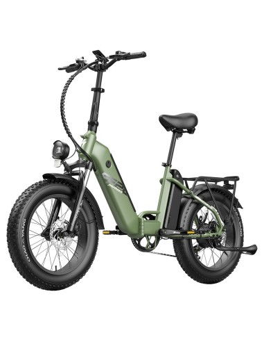 FAFREES FF20 Polar E-Bike 40Km/h 500W 48V 20,8Ah Double Batterie Vert