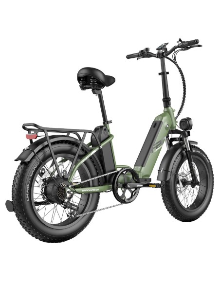 FAFREES FF20 Polar E-Bike 40Km/h 500W 48V 20,8Ah Double Batterie Vert