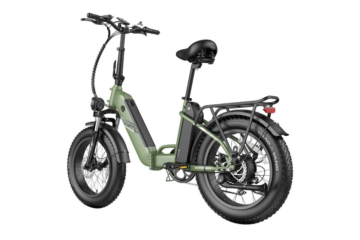 FAFREES FF20 Polar E-Bike 40Km/h 500W 48V 20,8Ah Double Batterie Vert
