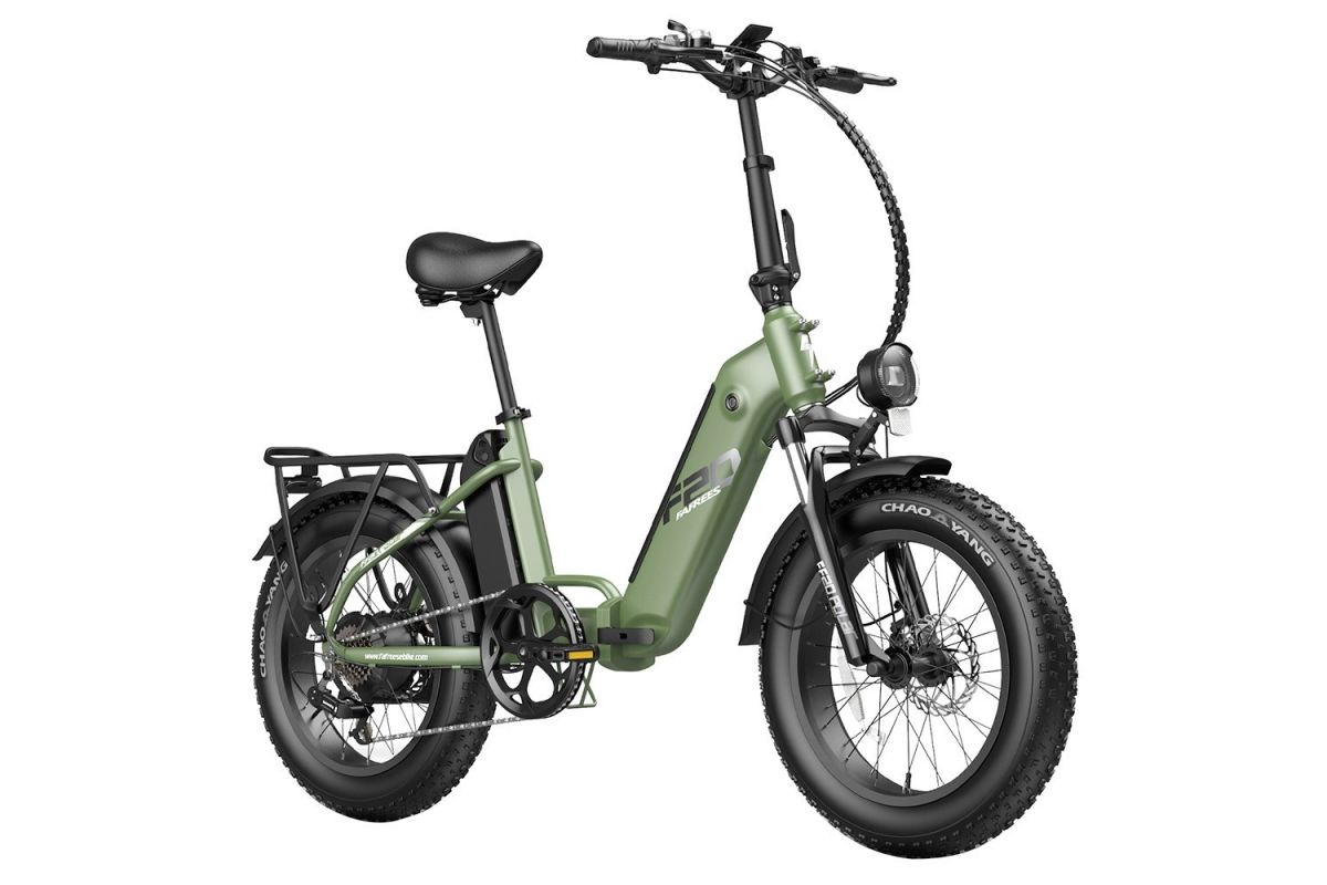 FAFREES FF20 Polar E-Bike 40Km/h 500W 48V 20,8Ah Double Batterie Vert