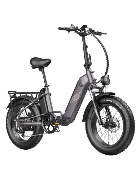 FAFREES FF20 Polar E-Bike 40Km/h 500W 48V 20,8Ah Double Batterie Gris