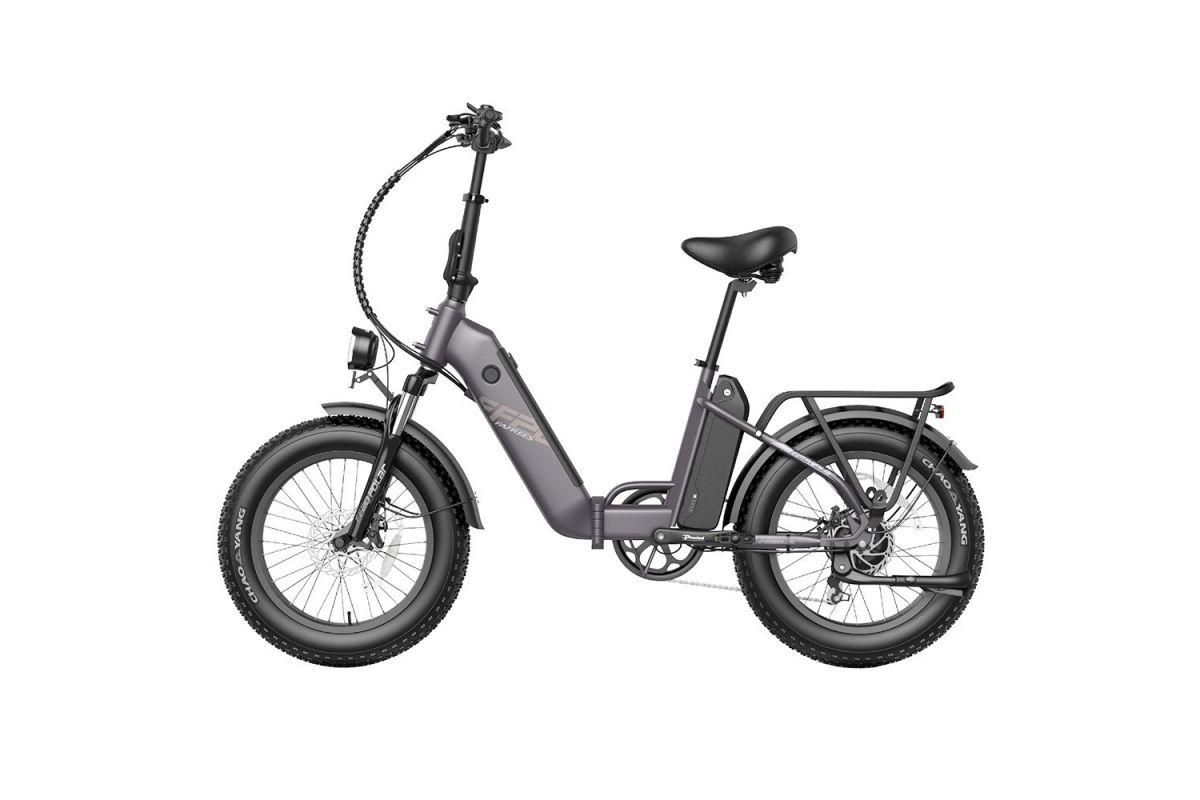 FAFREES FF20 Polar E-Bike 40Km/h 500W 48V 20,8Ah Double Batterie Gris