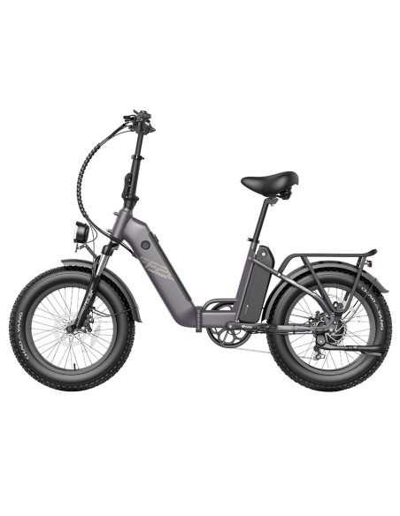 FAFREES FF20 Polar E-Bike 40Km/h 500W 48V 20,8Ah Double Batterie Gris