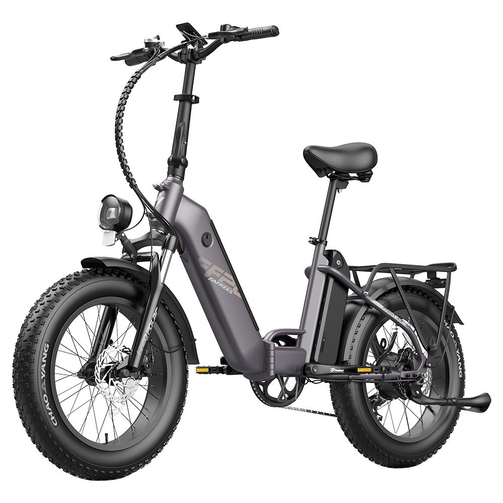 FAFREES FF20 Polar E-Bike 40Km/h 500W 48V 20,8Ah Double Batterie Gris