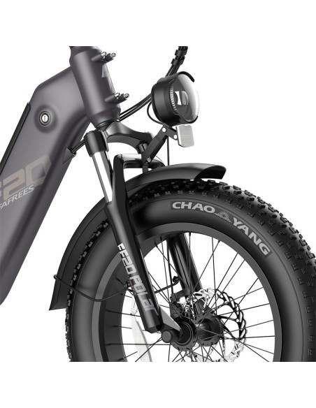 FAFREES FF20 Polar E-Bike 40Km/h 500W 48V 20,8Ah Double Batterie Gris