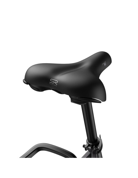 FAFREES F28 Pro Vélo électrique 27.5 * 1.75 pouces Pneus pneumatiques Noir