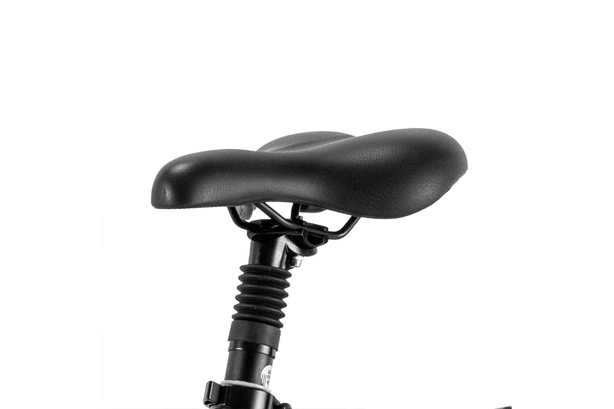 Vélo Électrique FAFREES F20 Master 20*4.0  500W Vert