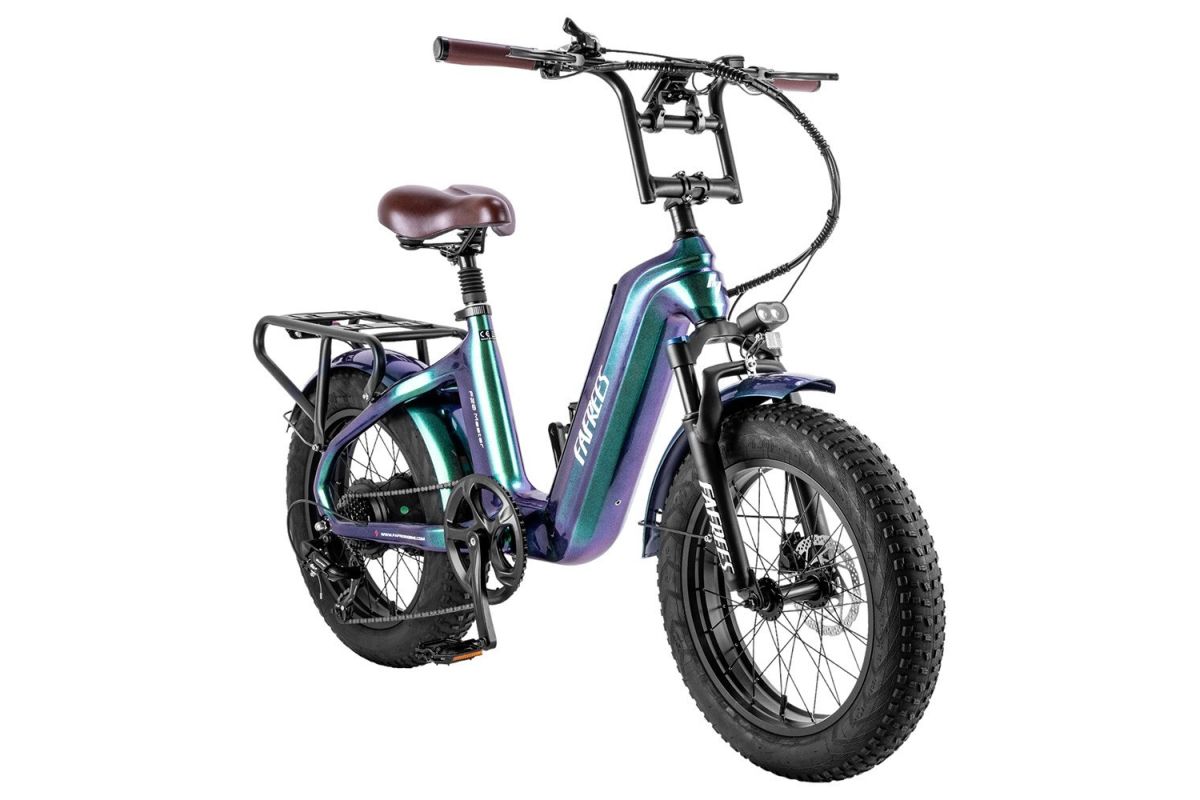 Vélo Électrique FAFREES F20 Master 20*4.0  500W Vert