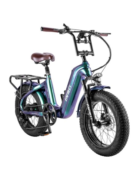 Vélo Électrique FAFREES F20 Master E-bike 20*4.0  500W Vert