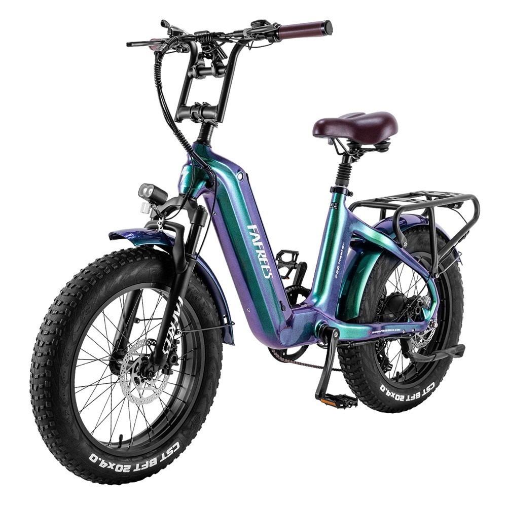 Vélo Électrique FAFREES F20 Master E-bike 20*4.0  500W Vert