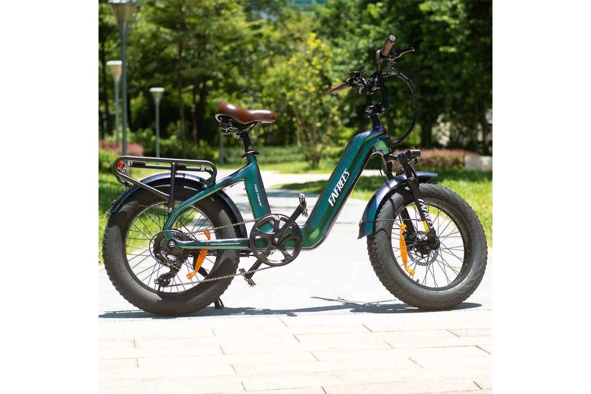 Vélo Électrique FAFREES F20 Master 20*4.0  500W Vert