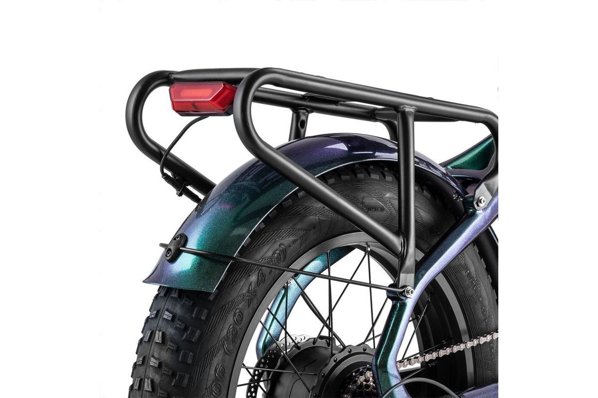 Vélo Électrique FAFREES F20 Master 20*4.0  500W Vert