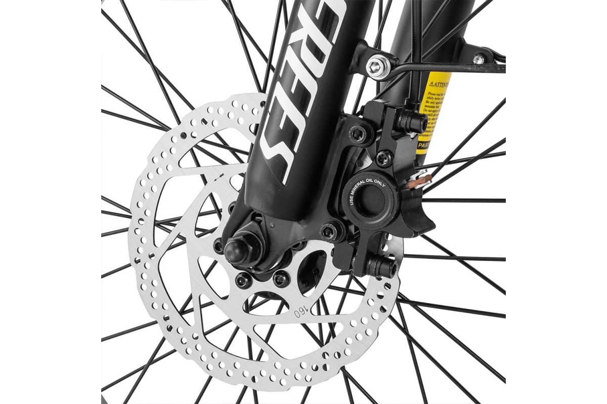 Vélo Électrique FAFREES F20 Master 20*4.0  500W Vert