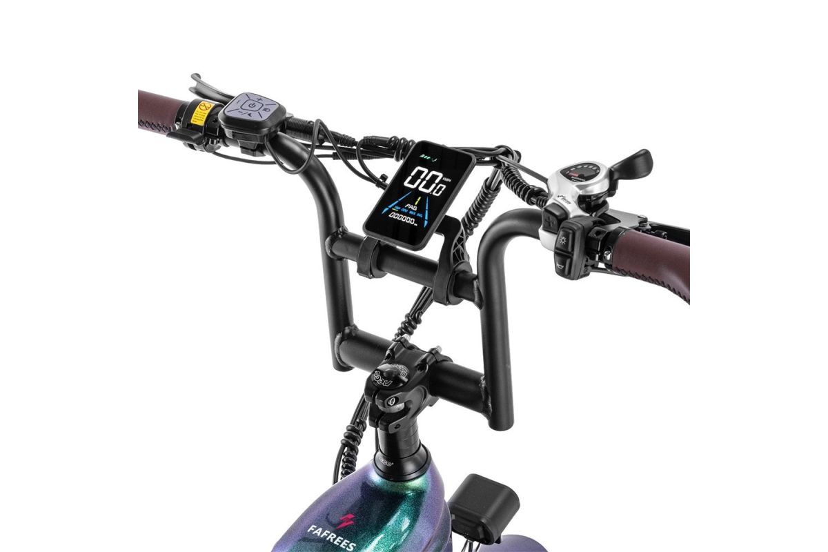 Vélo Électrique FAFREES F20 Master 20*4.0  500W Vert