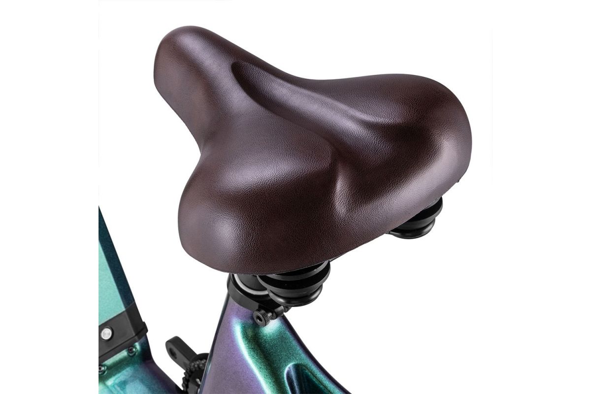 Vélo Électrique FAFREES F20 Master 20*4.0  500W Vert