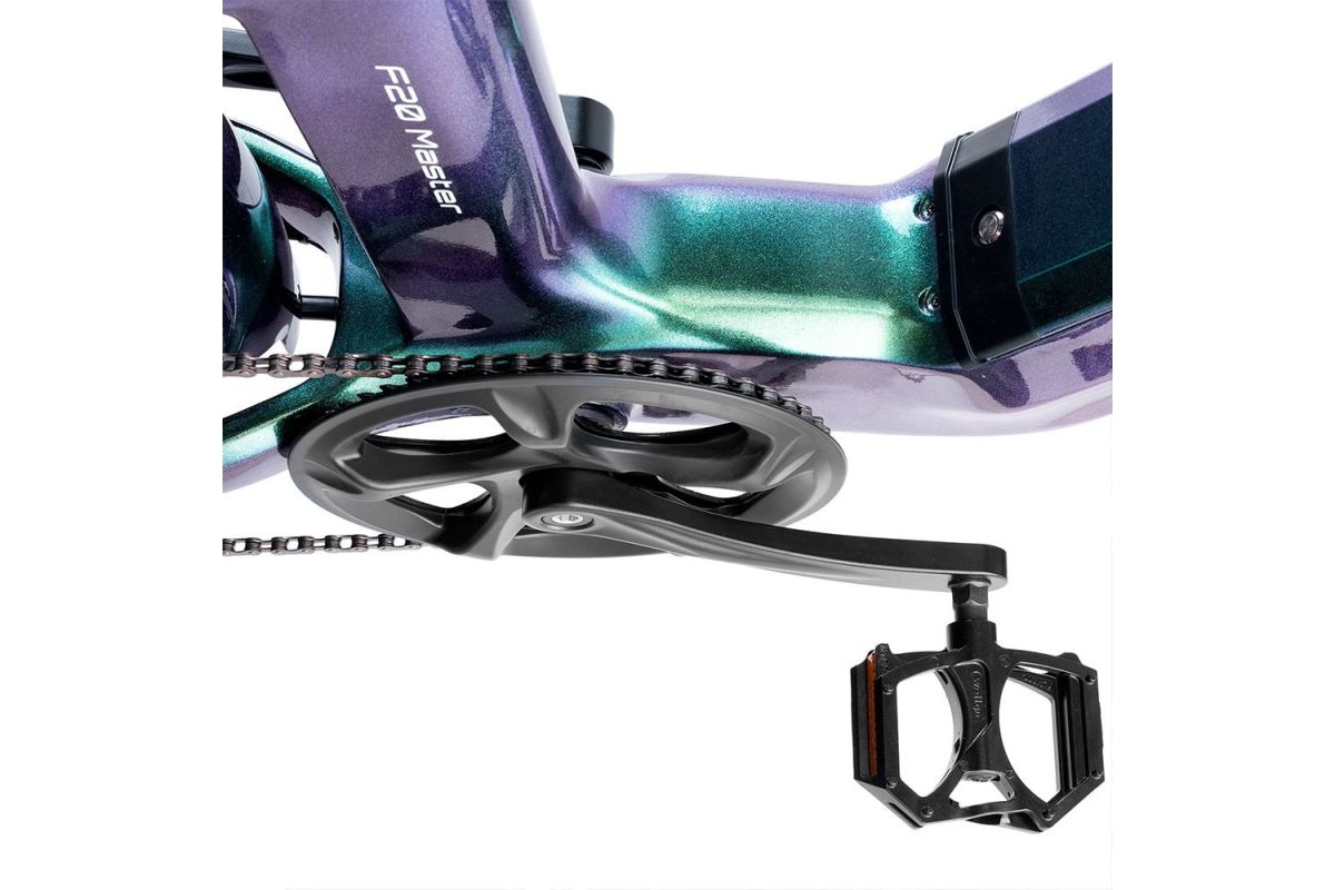 Vélo Électrique FAFREES F20 Master 20*4.0  500W Vert