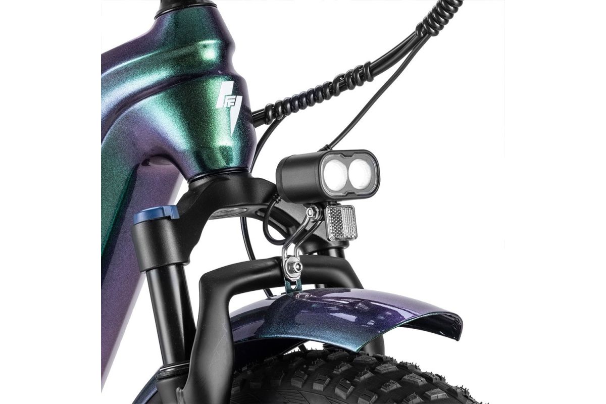 Vélo Électrique FAFREES F20 Master 20*4.0  500W Vert