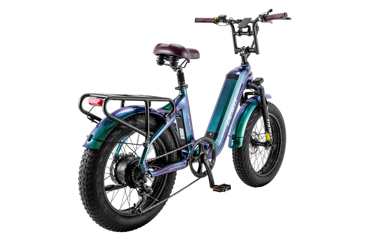 Vélo Électrique FAFREES F20 Master 20*4.0  500W Vert