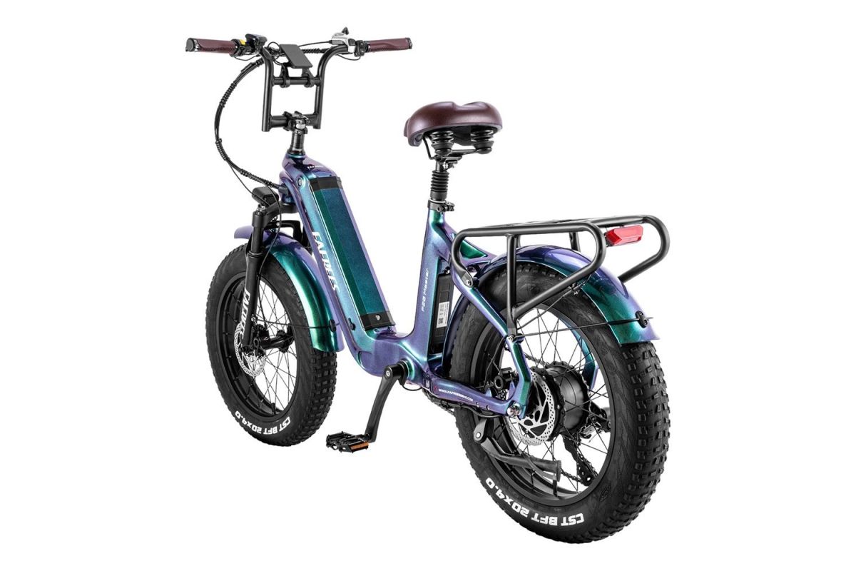 Vélo Électrique FAFREES F20 Master 20*4.0  500W Vert