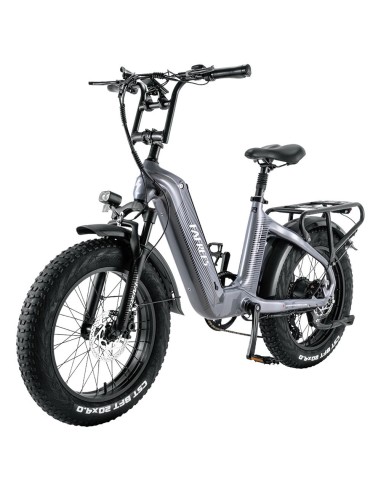 Vélo Électrique FAFREES F20 Master E-bike 20*4.0 500W Gris