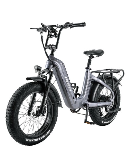 Vélo Électrique FAFREES F20 Master E-bike 20*4.0 500W Gris