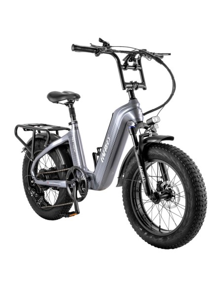 Vélo Électrique FAFREES F20 Master E-bike 20*4.0 500W Gris