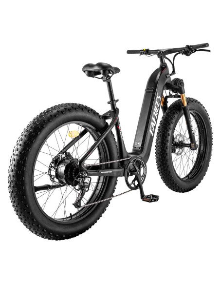 vélo électrique 26*4.8 pouces FAFREES F26 Carbon X  1000W