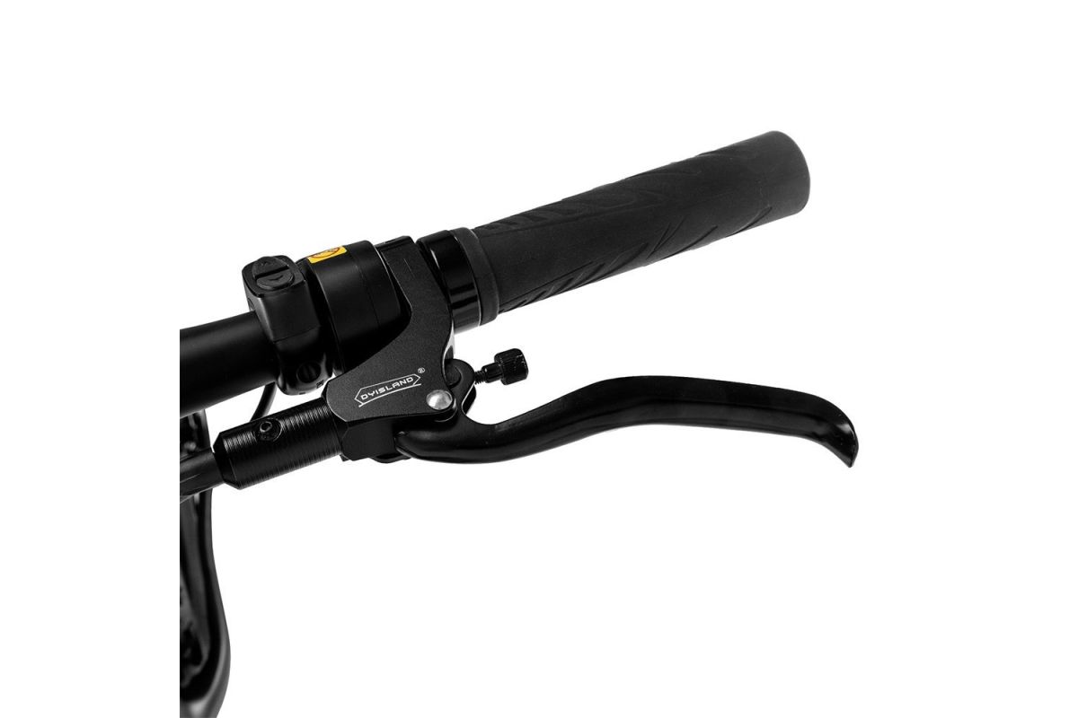 vélo électrique 26*4.8 pouces FAFREES F26 Carbon X  1000W