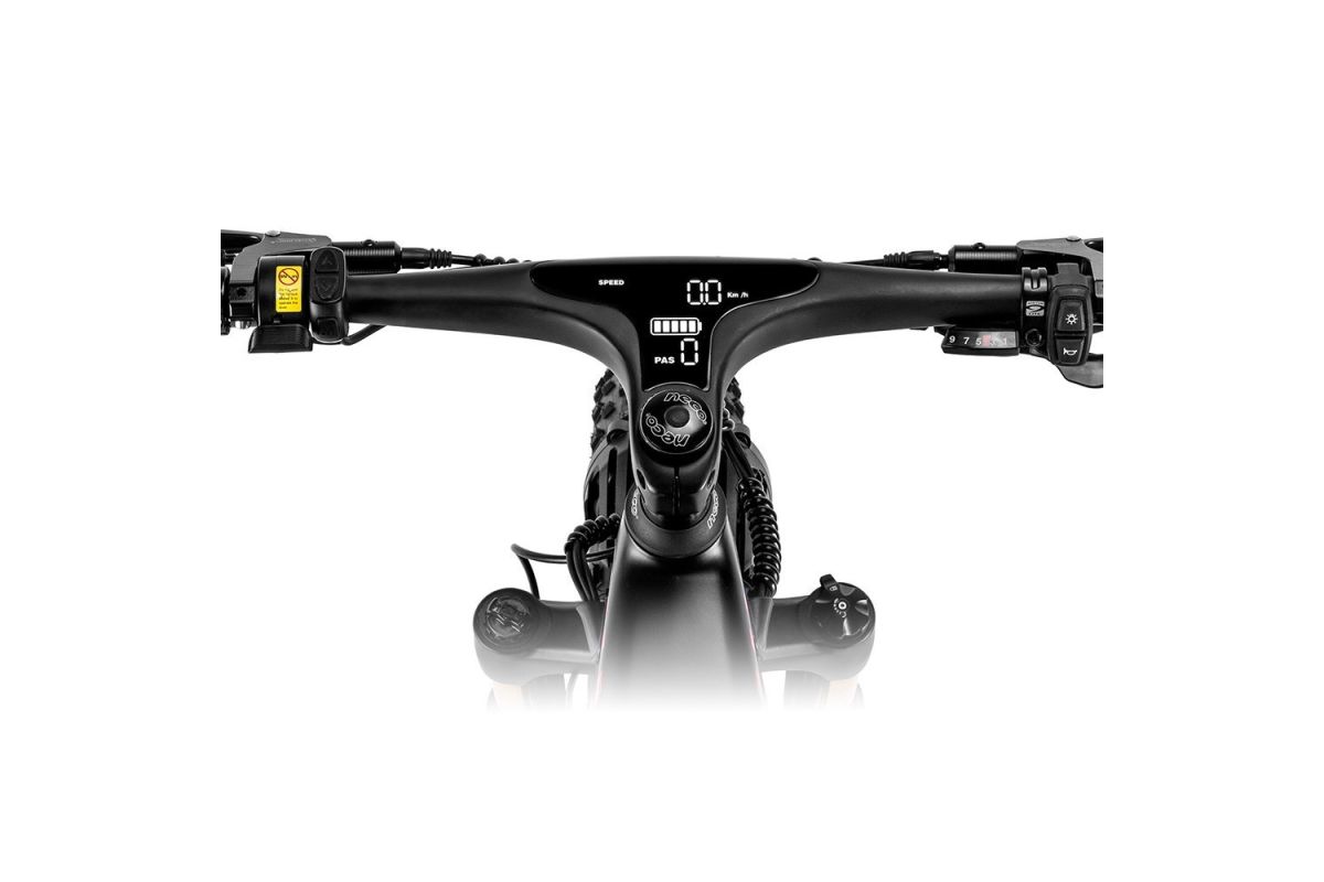 vélo électrique 26*4.8 pouces FAFREES F26 Carbon X  1000W