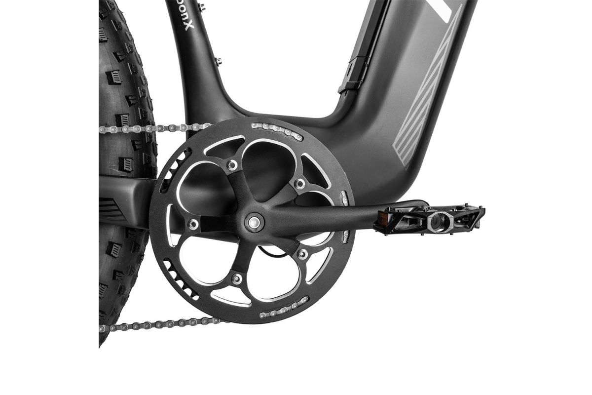 vélo électrique 26*4.8 pouces FAFREES F26 Carbon X  1000W