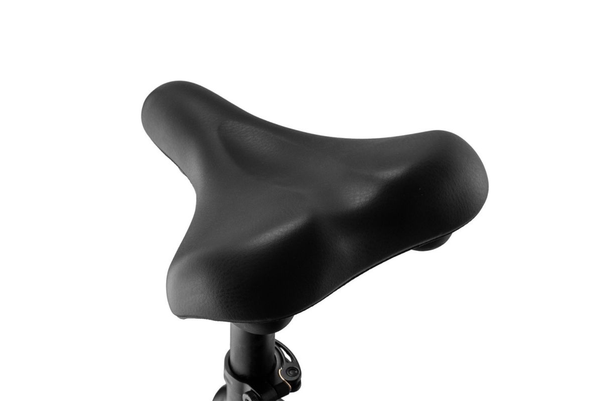vélo électrique 26*4.8 pouces FAFREES F26 Carbon X  1000W