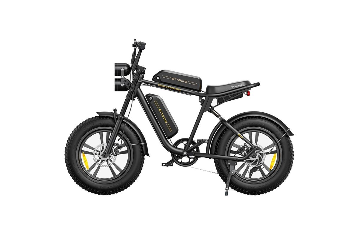 Vélo Électrique ENGWE M20 20 Pouces 48V Double Batterie13AH 750W 45Km/h Noir