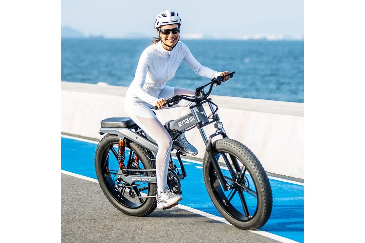 Vélo Électrique ENGWE X26 - 1000W - 50 km/h - Pneus 26 Pouces - Double Batterie 48V 29.2Ah - Couleur Gris