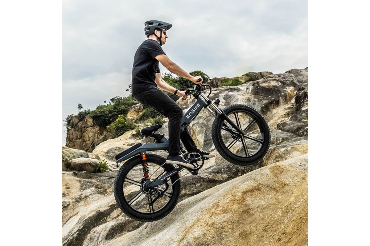 Vélo Électrique ENGWE X26 - 1000W - 50 km/h - Pneus 26 Pouces - Double Batterie 48V 29.2Ah - Couleur Gris