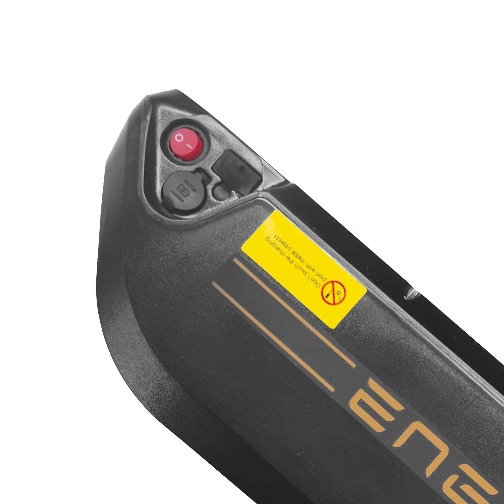 Batterie lithium-ion pour vélo électrique ENGWE M20 avec equalizer 48V 13Ah 2