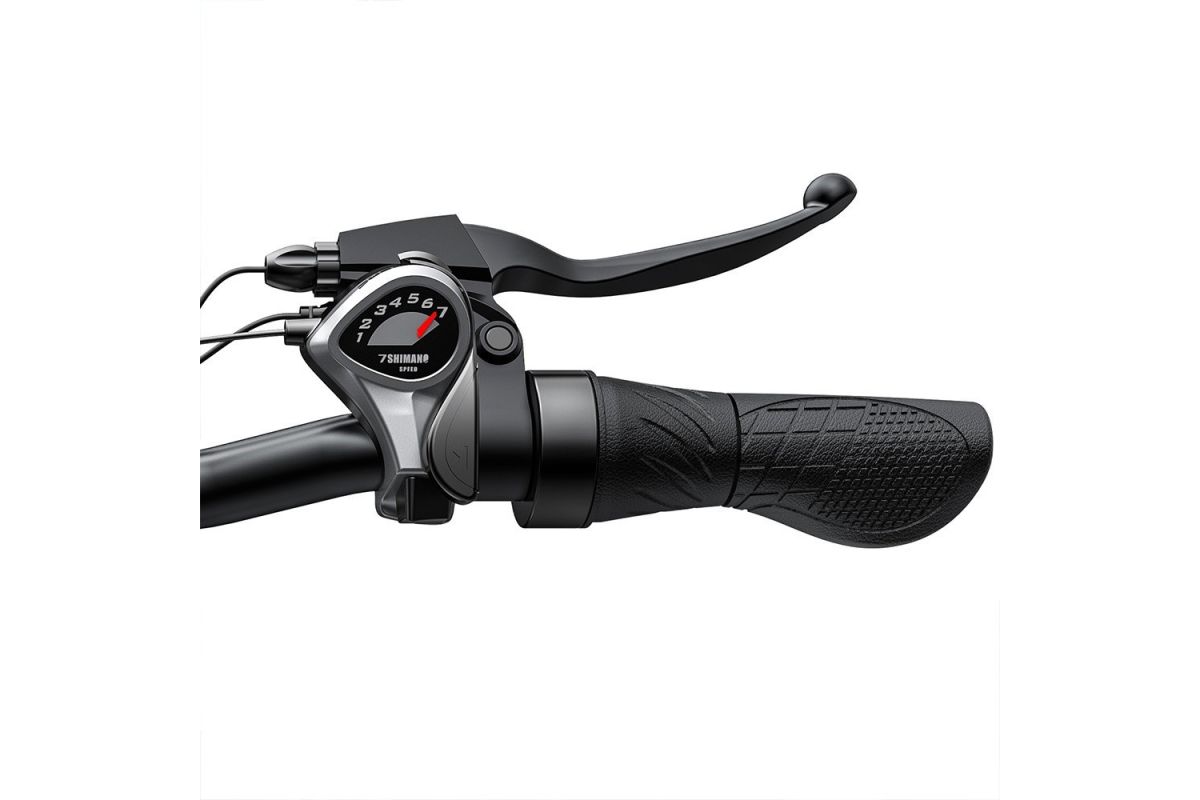 Vélo électrique ENGWE E26 48V 16AH 250W 25km/h Bleu