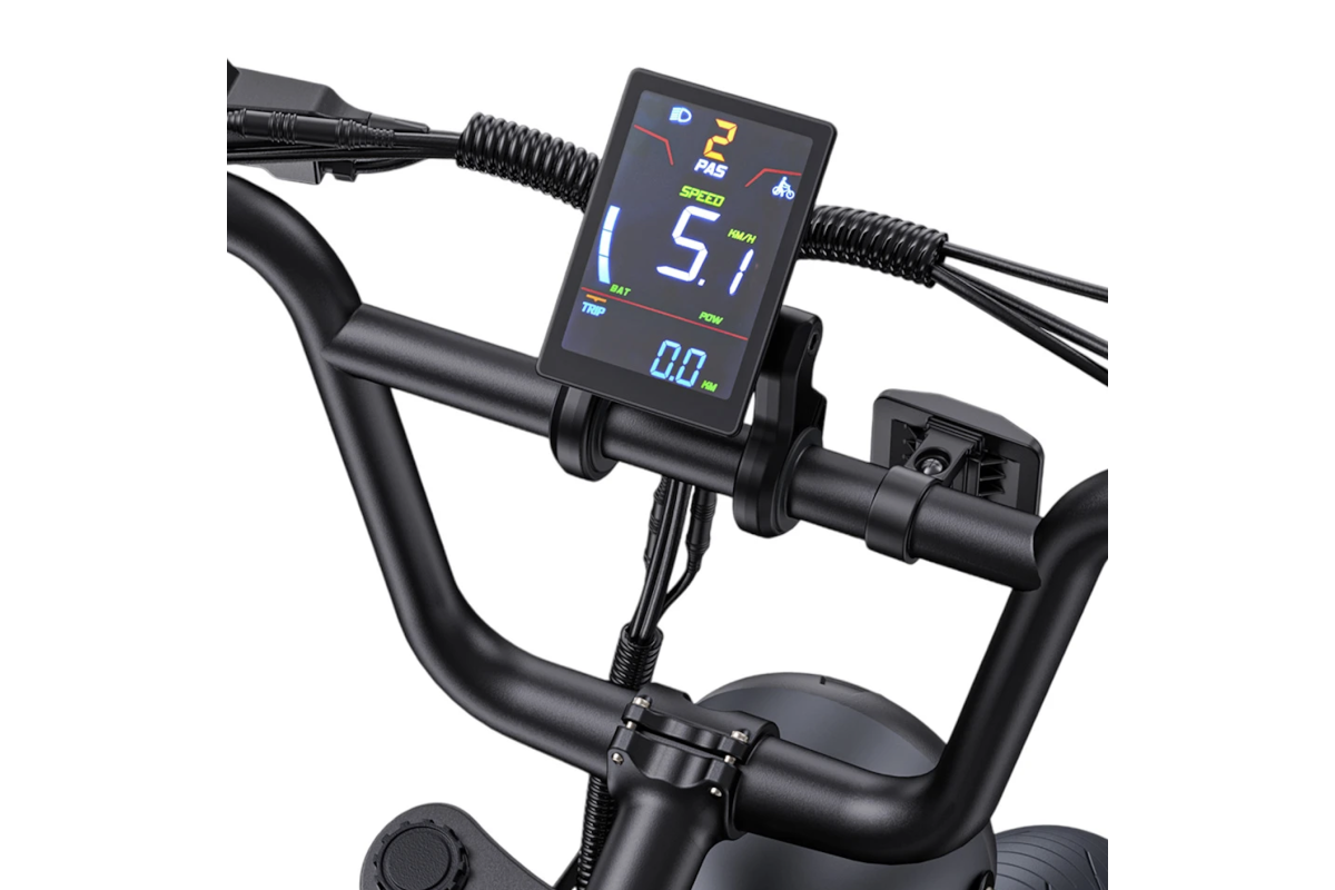 Vélo Électrique ENGWE M1 Noir Avec 1 batterie 48V 15.6Ah 250W 65NM