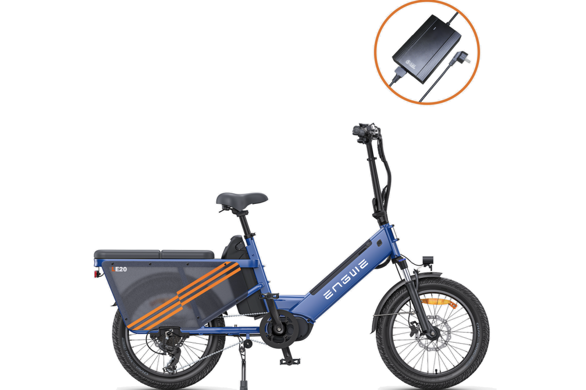 Vélo Cargo Électrique ENGWE LE20 Gris VERSION PASSAGER 250W 1 Batterie 19.2AH