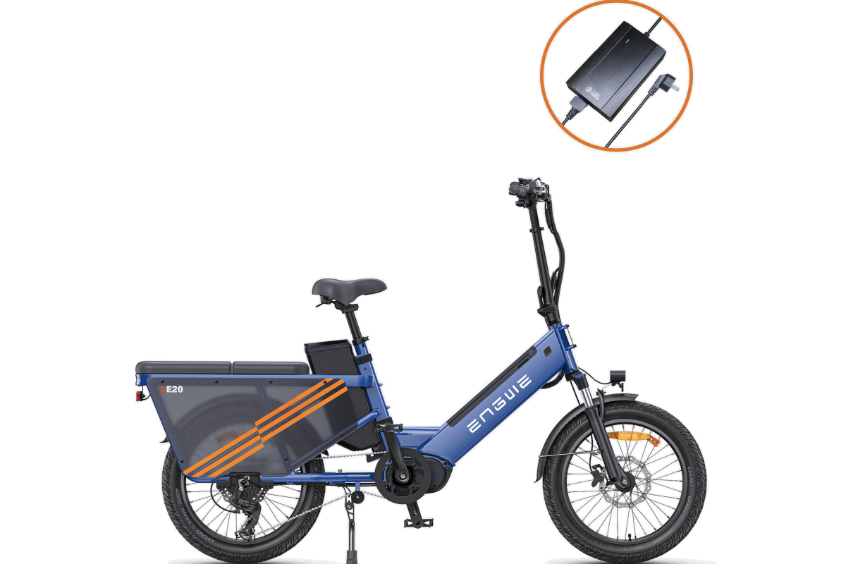 Vélo Cargo Électrique ENGWE LE20 Gris VERSION PASSAGER 250W 1 Batterie 19.2AH