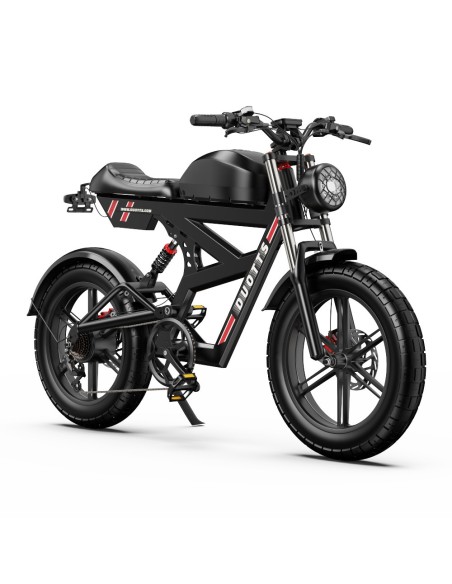 Vélo Électrique Duotts F20 750W Batterie 52V 27AH