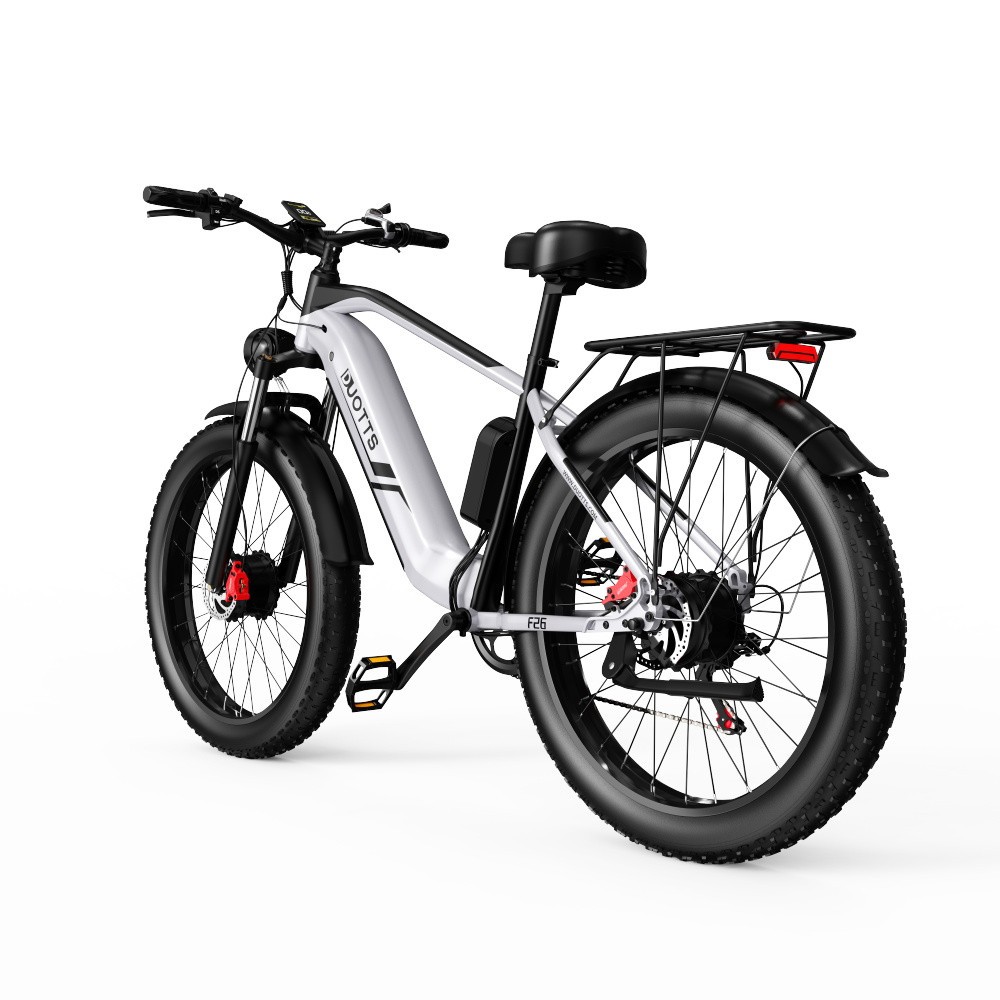 Vélo Electrique DUOTTS F26 Argent 26 pouces 50km/h 48V 20Ah 750W Double Moteur 2