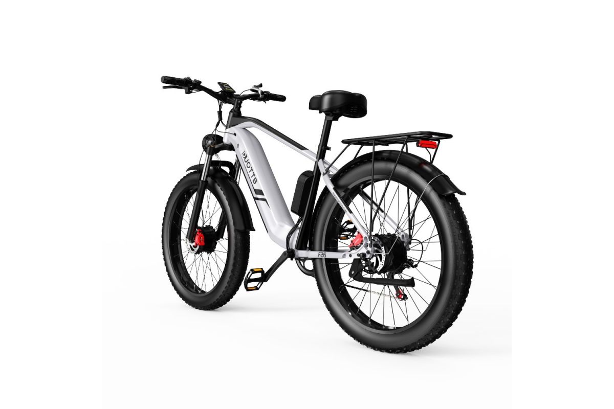 Vélo Electrique DUOTTS F26 Argent 26 pouces 50km/h 48V 20Ah 750W Double Moteur