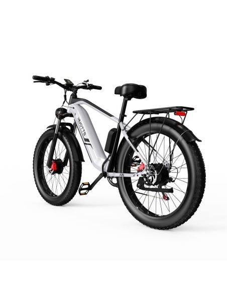 Vélo Electrique DUOTTS F26 Argent 26 pouces 50km/h 48V 20Ah 750W Double Moteur