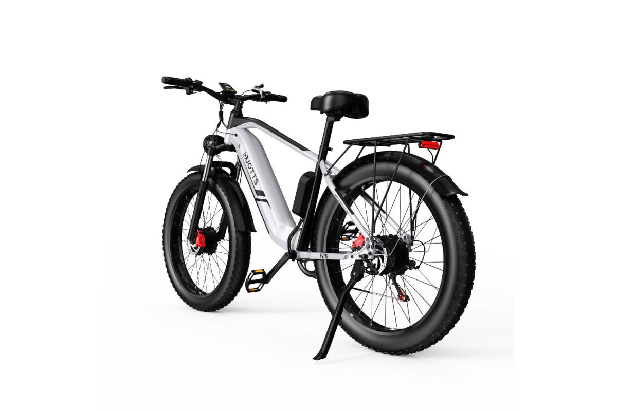 Vélo Electrique DUOTTS F26 Argent 26 pouces 50km/h 48V 20Ah 750W Double Moteur