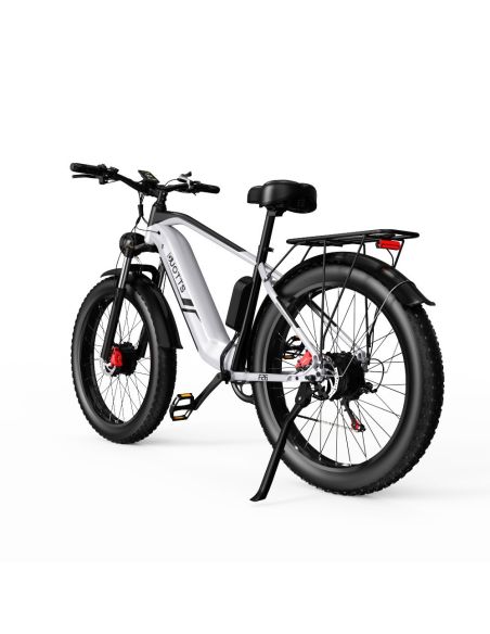 Vélo Electrique DUOTTS F26 Argent 26 pouces 50km/h 48V 20Ah 750W Double Moteur