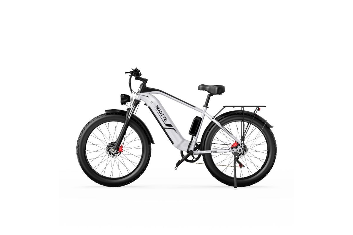 Vélo Electrique DUOTTS F26 Argent 26 pouces 50km/h 48V 20Ah 750W Double Moteur