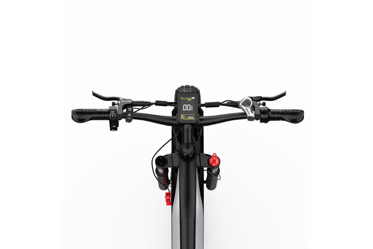 Vélo Electrique DUOTTS F26 Argent 26 pouces 50km/h 48V 20Ah 750W Double Moteur