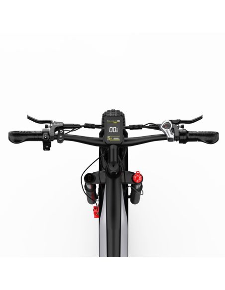 Vélo Electrique DUOTTS F26 Argent 26 pouces 50km/h 48V 20Ah 750W Double Moteur